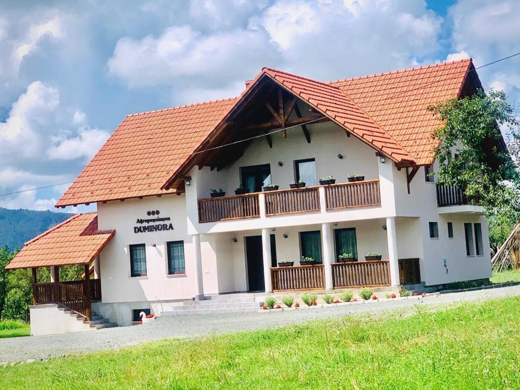 Agropensiunea Duminora Lăschia Zewnętrze zdjęcie