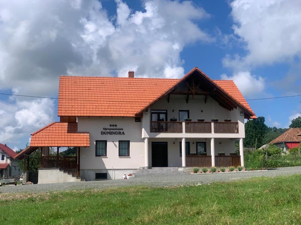 Agropensiunea Duminora Lăschia Zewnętrze zdjęcie