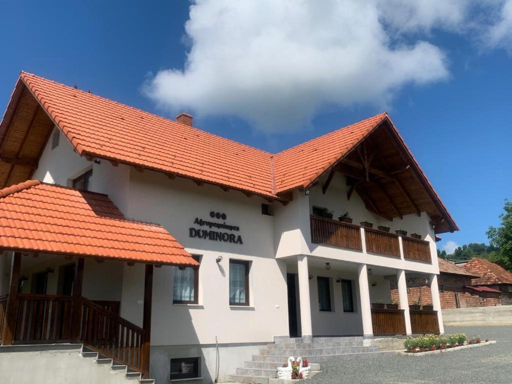 Agropensiunea Duminora Lăschia Zewnętrze zdjęcie
